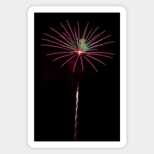 Fireworks Sticker